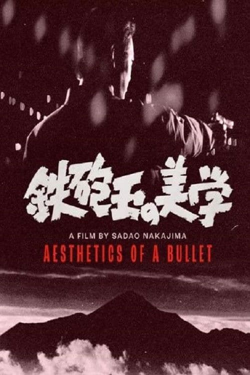 Aesthetics of a Bullet
