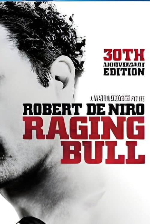 Raging Bull: Reflections on a Classic