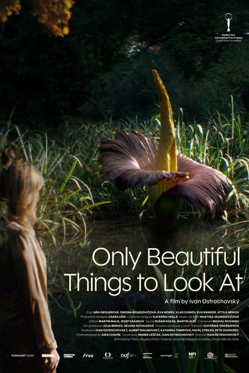 Only Beautiful Things to Look At
