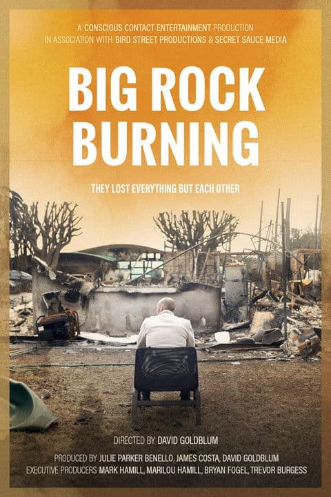 Big Rock Burning