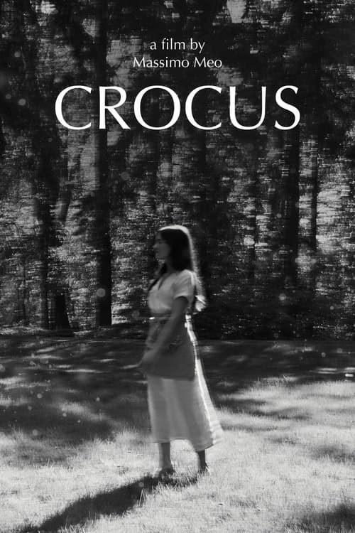 Crocus