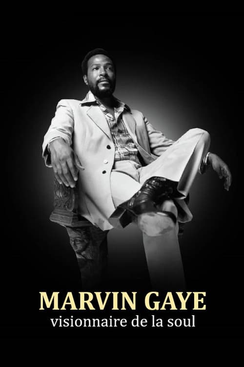 Marvin Gaye - Visionär des Soul