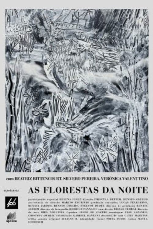 As Florestas da Noite