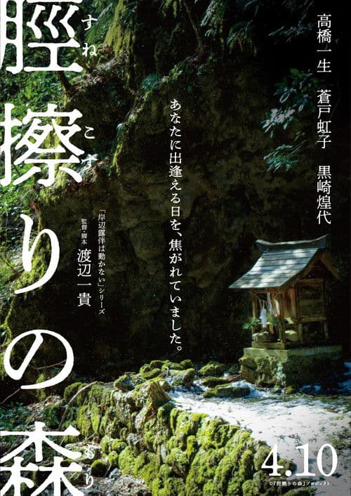 The Forest of Sunekosuri