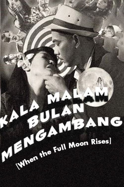 When The Full Moon Rises