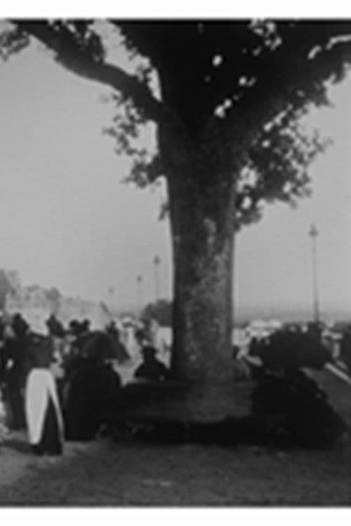 Pau : la terrasse