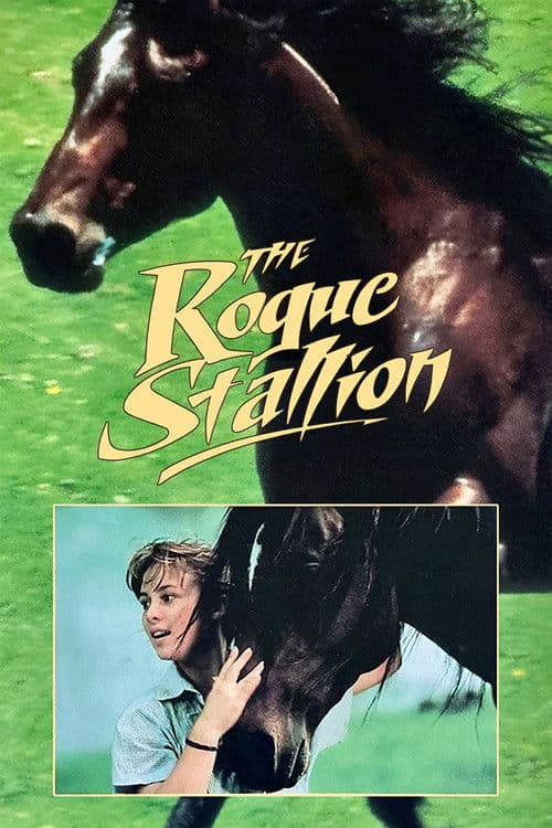 The Rogue Stallion