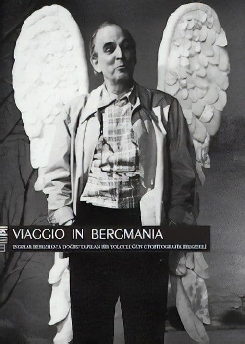 Viaggio in Bergmania
