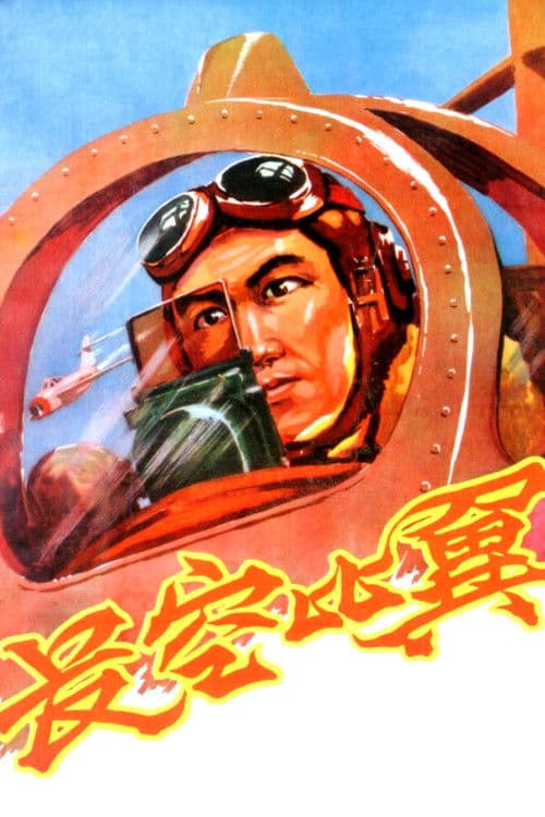 Flying in the Sky