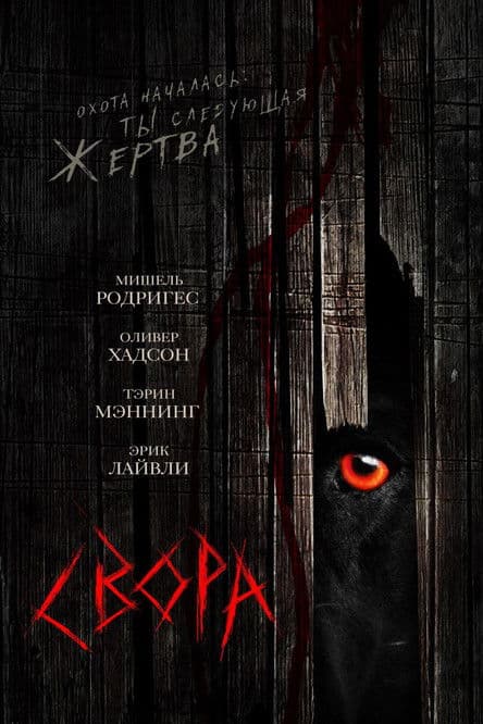Свора