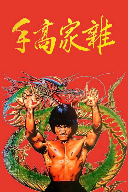 雜家高手
