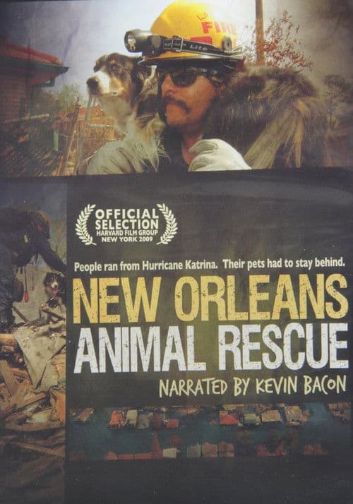 New Orleans Animal Rescue