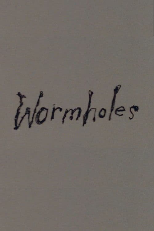 Wormholes