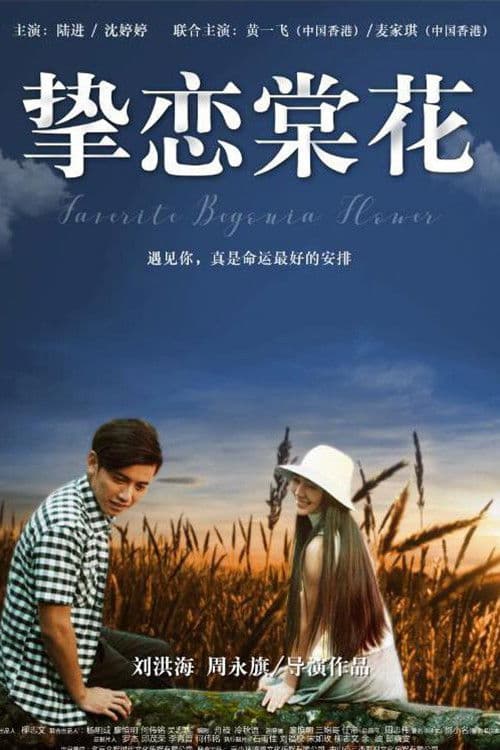 挚恋棠花